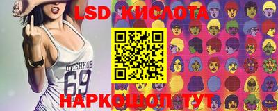 сатива Славгород