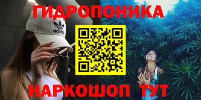 таблы Сланцы