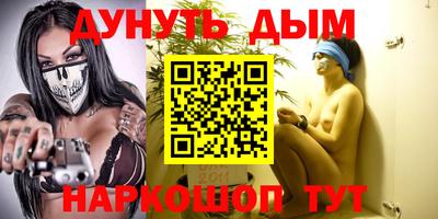 сатива Славгород