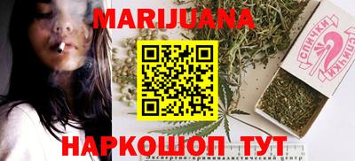 сатива Славгород